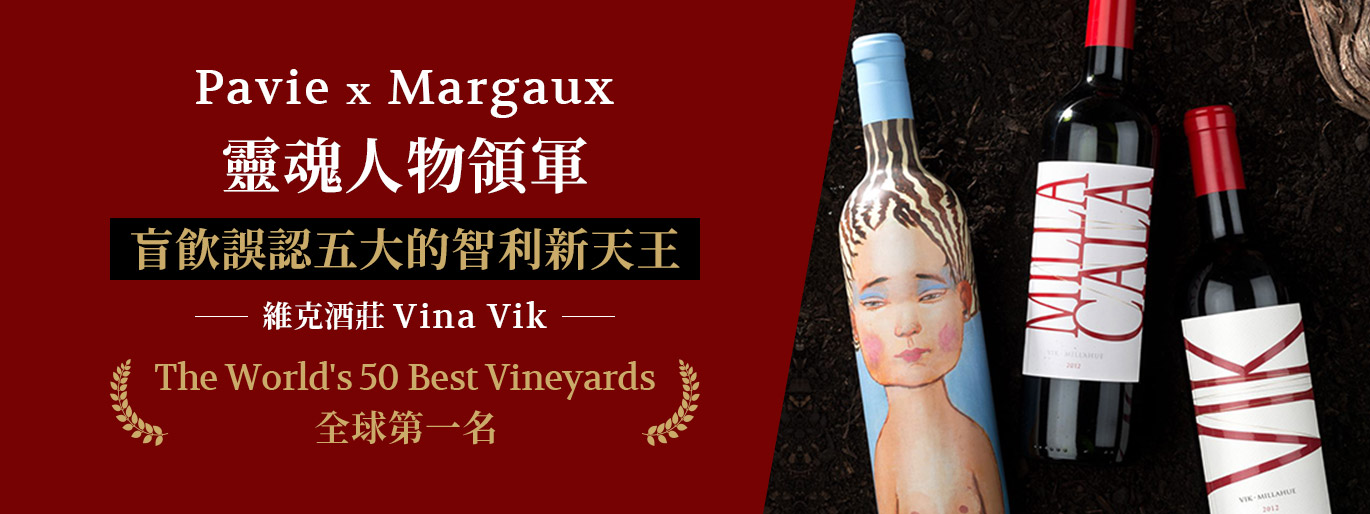 智利新天王🎖維克酒莊 Vina Vik 盲飲誤認五大🍷超精彩混釀