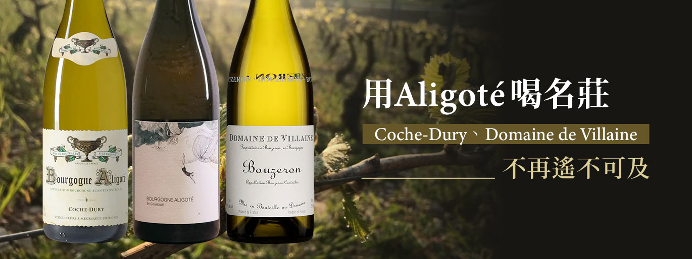 布根地名莊 Aligote|Coche-Dury、DRC 莊主作品一次收藏